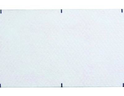 Pathport Disposable Replacement Pad - BE021