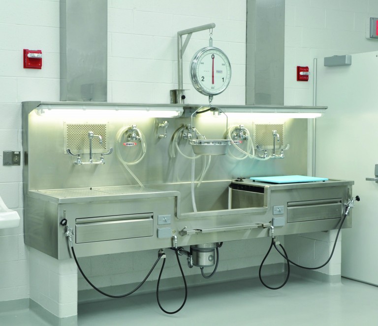 Autopsy Sink - Wall Mount, Elevating Center Approach - CC200 - Image 2