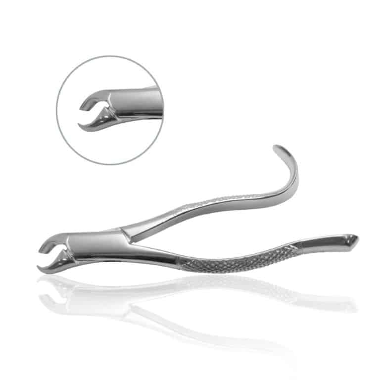 Extracting Forceps - No. 24