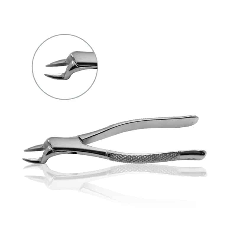 Extracting Forceps, No. 32