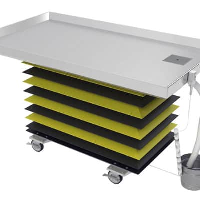 Trimming Table - Rectangular Large Animal on Casters with Lift