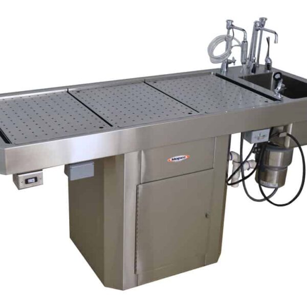 Necropsy Table-Short Pedestal Style