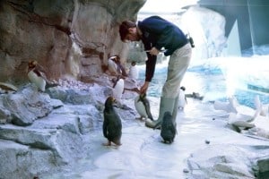 Zoo