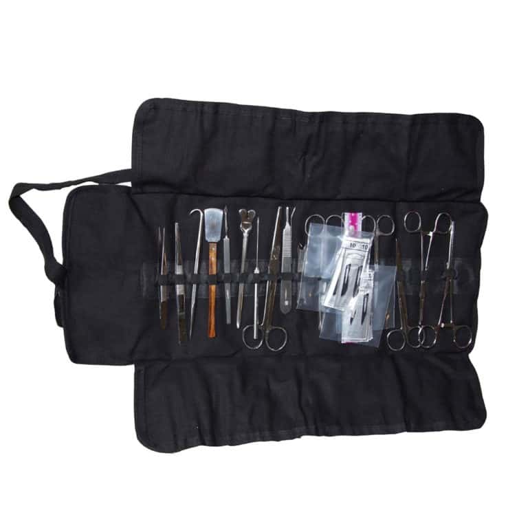 animal dissecting kit
