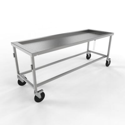 Standard Anatomy Dissection Table, Recessed Top