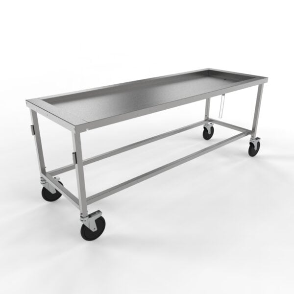 Standard Anatomy Dissection Table, Recessed Top