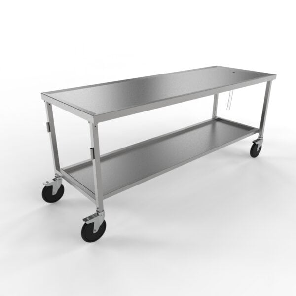 Standard Anatomy Dissection Table, Creased Top