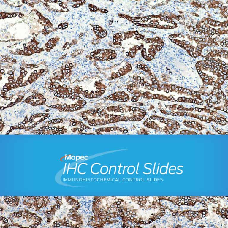 IHC Control Slides