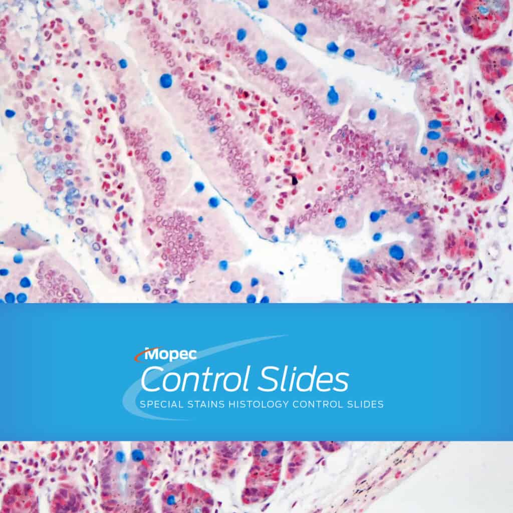 Control Slides Mopec