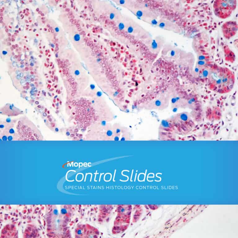 Special Stains Control Slides