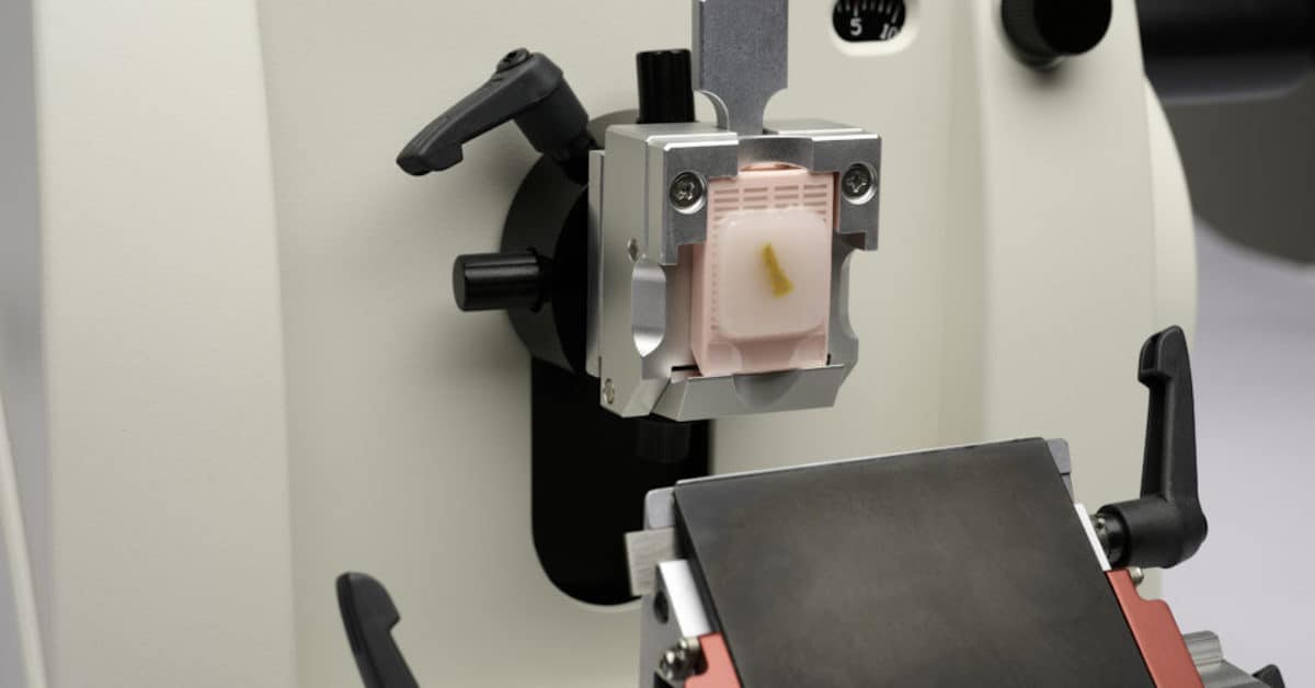 Mopec Rhythm Microtome Cassette Clamp