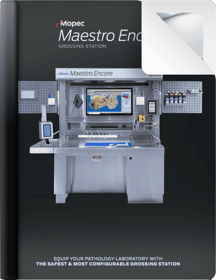 Maestro Encore Brochure