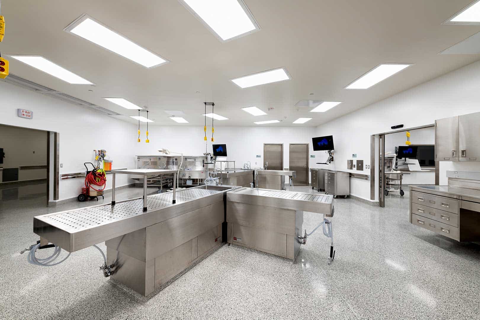 Autopsy Trays and Sinks