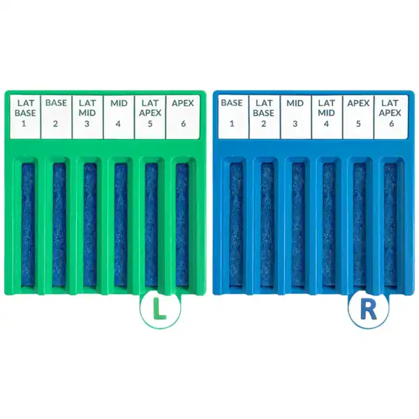 Lumea BxBoard Prostate Kit, Transrectal, 6 Lane, Left/Right (BX109)