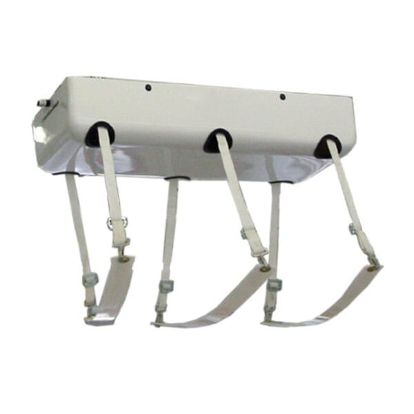 Electric Ceiling Mounted Lift with Straps (M675)