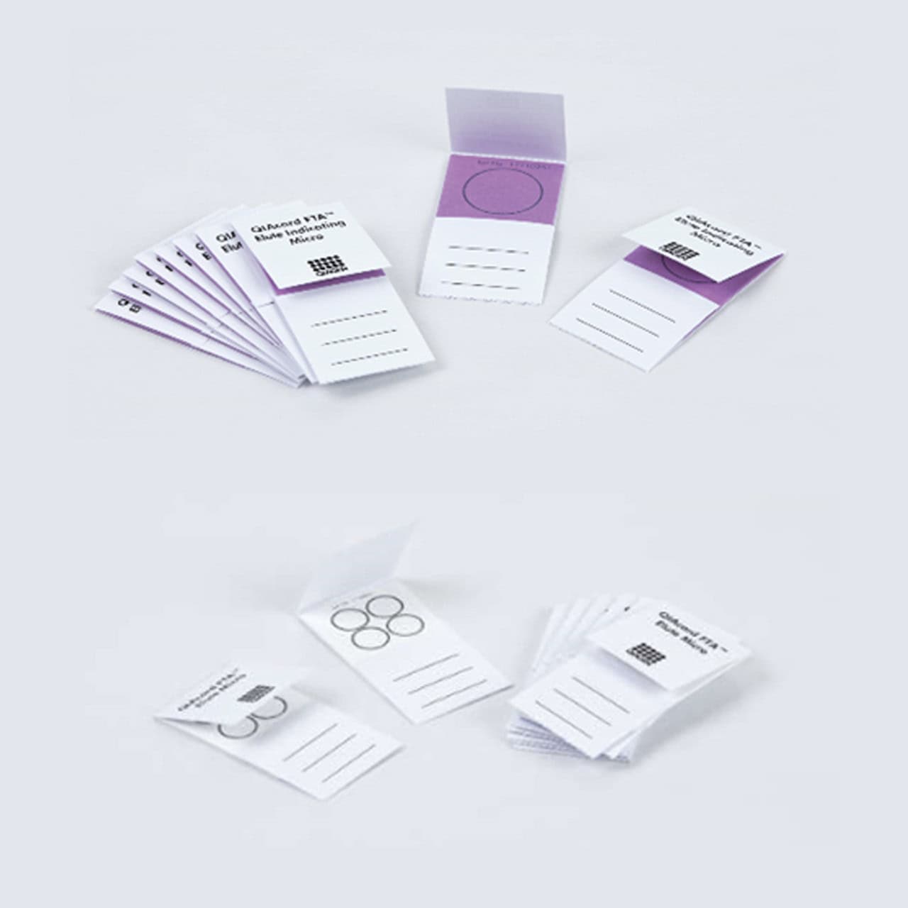FTA Elute Micro or Indicating Card