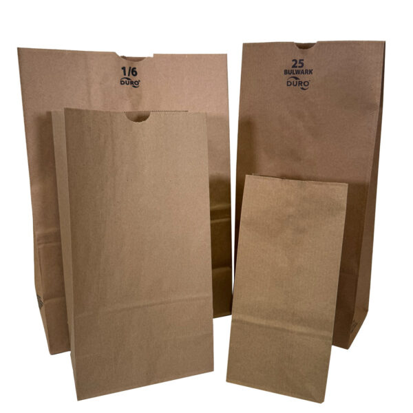 Plain Paper Evidence Bags