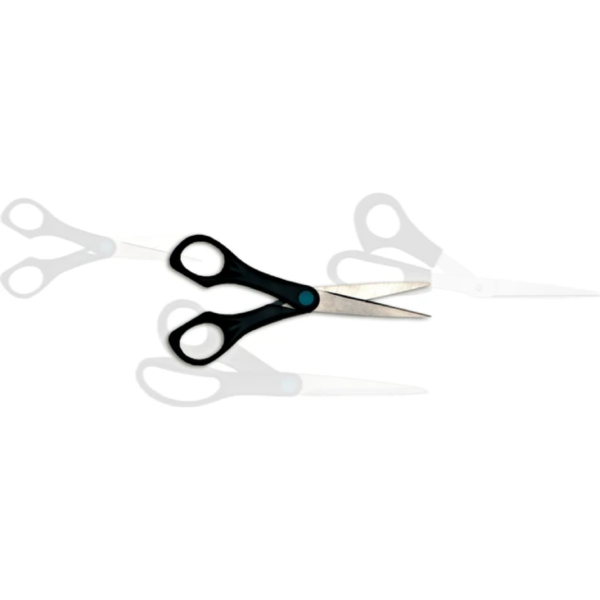 Stainless Steel Scissors and Shears