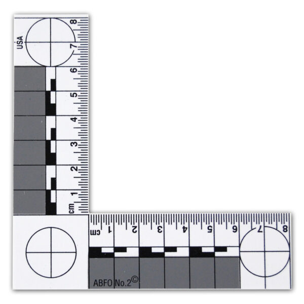No.2 L-Shaped Photomacrographic Scales
