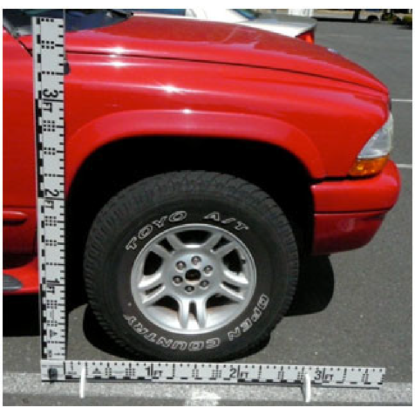 MegaPictoFramus Ruler Feet